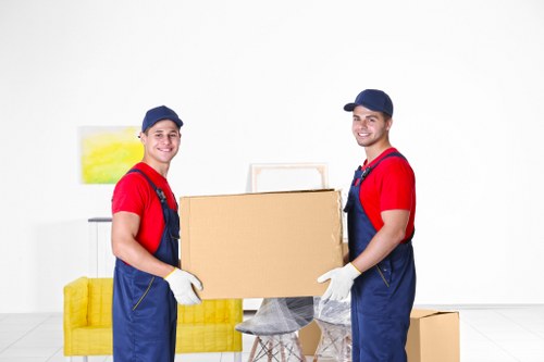 Local Maidahill man with a van providing flexible moving and collection support
